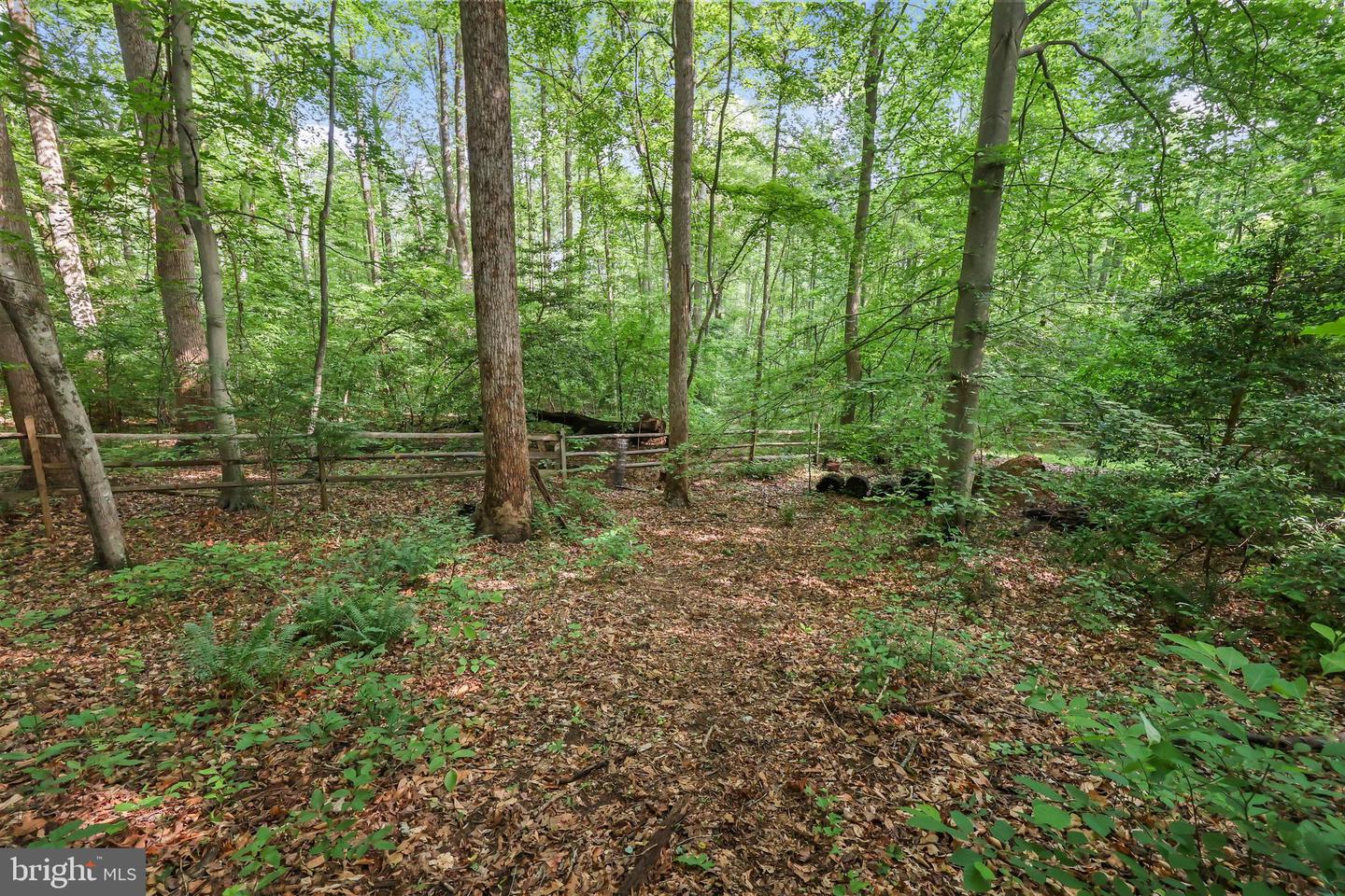 7 FRANTZ CT, FREDERICKSBURG, Virginia 22405, 4 Bedrooms Bedrooms, ,3 BathroomsBathrooms,Residential,For sale,7 FRANTZ CT,VAST2038920 MLS # VAST2038920
