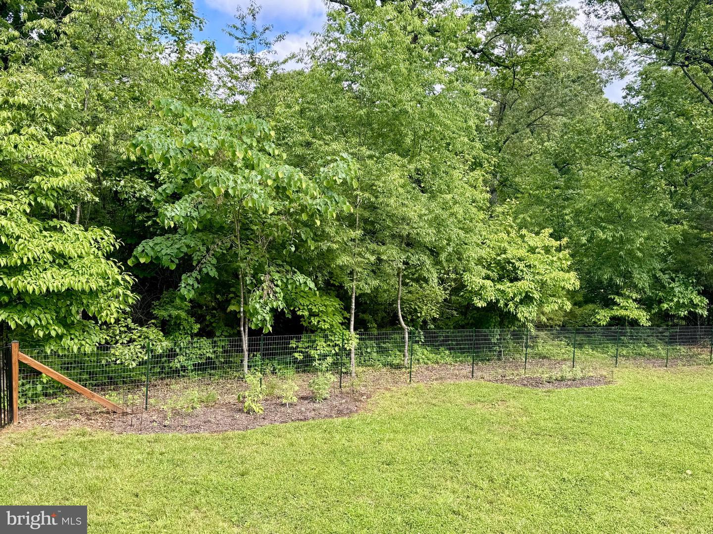 1875 ONEALS, MADISON, Virginia 22727, 4 Bedrooms Bedrooms, 10 Rooms Rooms,2 BathroomsBathrooms,Residential,For sale,1875 ONEALS,VAMA2002240 MLS # VAMA2002240