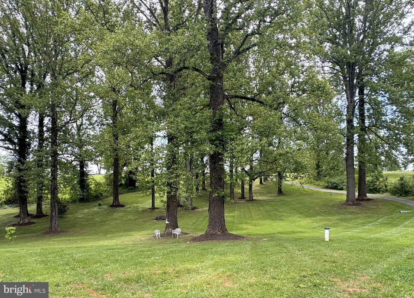 1875 ONEALS, MADISON, Virginia 22727, 4 Bedrooms Bedrooms, 10 Rooms Rooms,2 BathroomsBathrooms,Residential,For sale,1875 ONEALS,VAMA2002240 MLS # VAMA2002240