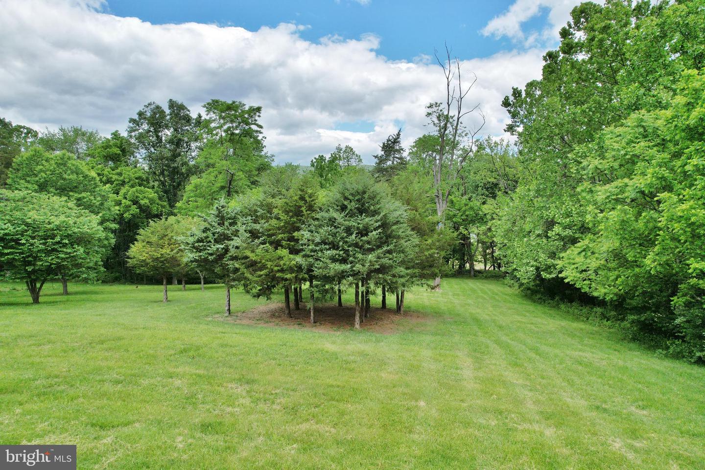1956 MAURERTOWN MILL RD, MAURERTOWN, Virginia 22644, 3 Bedrooms Bedrooms, ,2 BathroomsBathrooms,Residential,For sale,1956 MAURERTOWN MILL RD,VASH2011574 MLS # VASH2011574