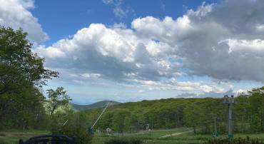 962 DIAMOND HILL CONDOS, WINTERGREEN RESORT, Virginia 22967, 2 Bedrooms Bedrooms, ,2 BathroomsBathrooms,Residential,For sale,962 DIAMOND HILL CONDOS,664937 MLS # 664937
