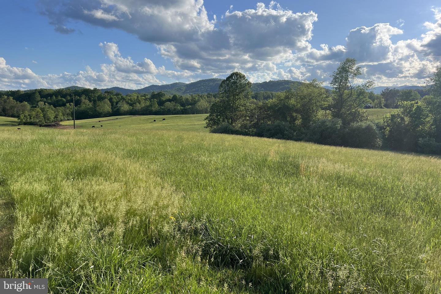 3542 SLATE MILLS RD, SPERRYVILLE, Virginia 22740, 3 Bedrooms Bedrooms, ,4 BathroomsBathrooms,Residential,For sale,3542 SLATE MILLS RD,VARP2001974 MLS # VARP2001974