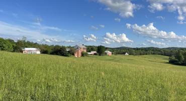 3542 SLATE MILLS RD, SPERRYVILLE, Virginia 22740, 3 Bedrooms Bedrooms, ,4 BathroomsBathrooms,Residential,For sale,3542 SLATE MILLS RD,VARP2001974 MLS # VARP2001974