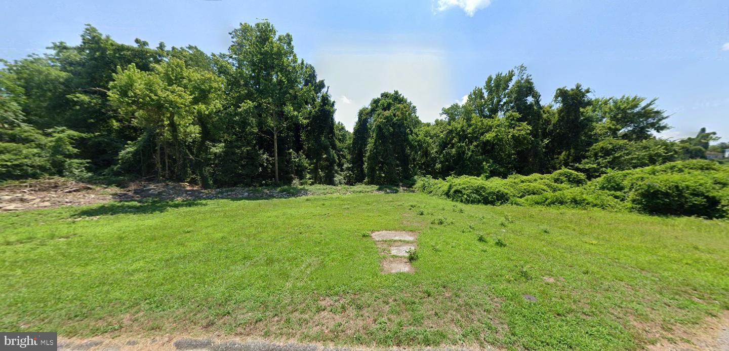 146-150 MCKEEVER ST, PETERSBURG, Virginia 23803, ,Land,For sale,146-150 MCKEEVER ST,VAPC2000112 MLS # VAPC2000112
