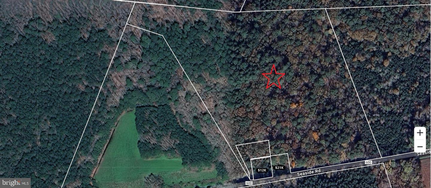 00 SEASIDE RD, MELFA, Virginia 23410, ,Land,For sale,00 SEASIDE RD,VAAC2001890 MLS # VAAC2001890