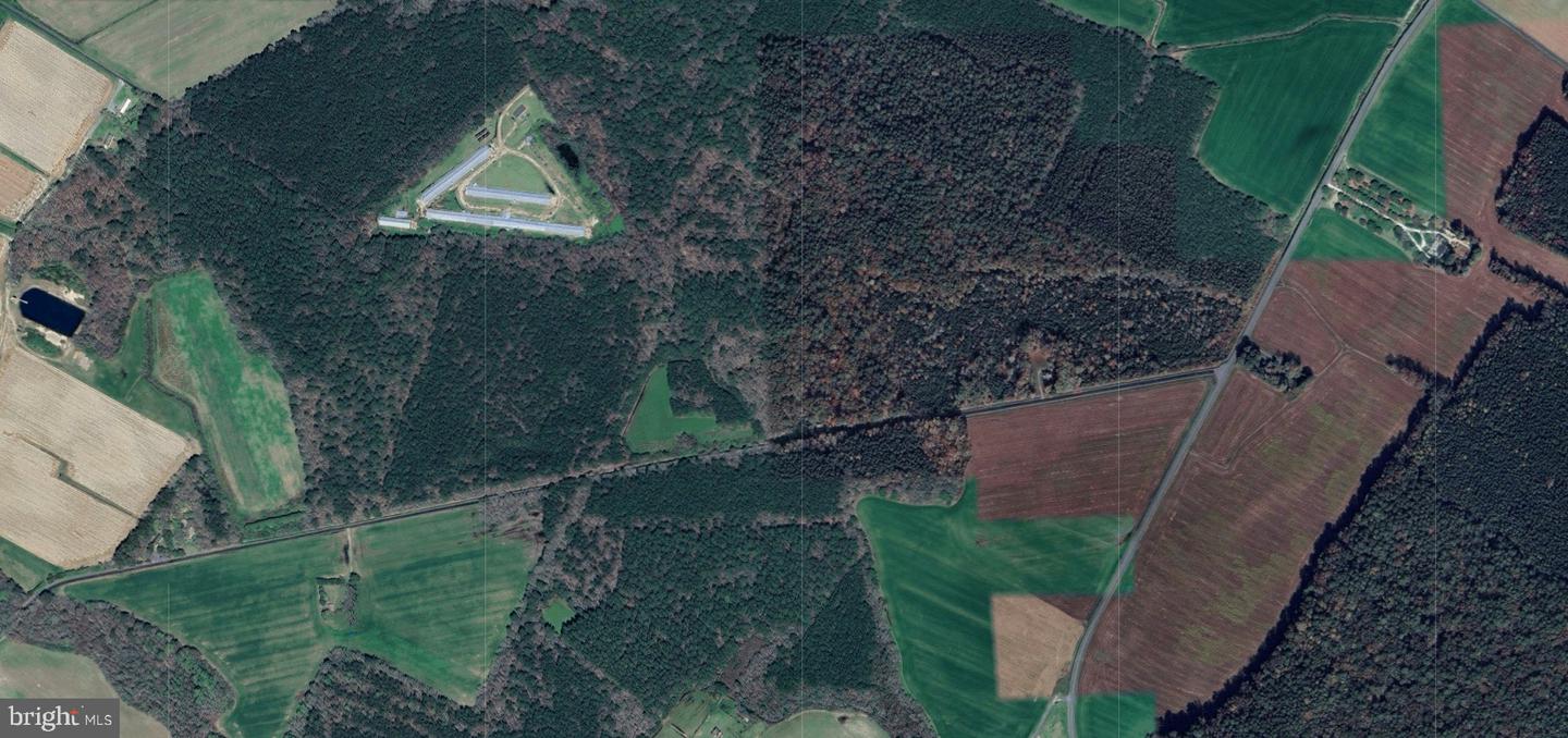 00 SEASIDE RD, MELFA, Virginia 23410, ,Land,For sale,00 SEASIDE RD,VAAC2001890 MLS # VAAC2001890