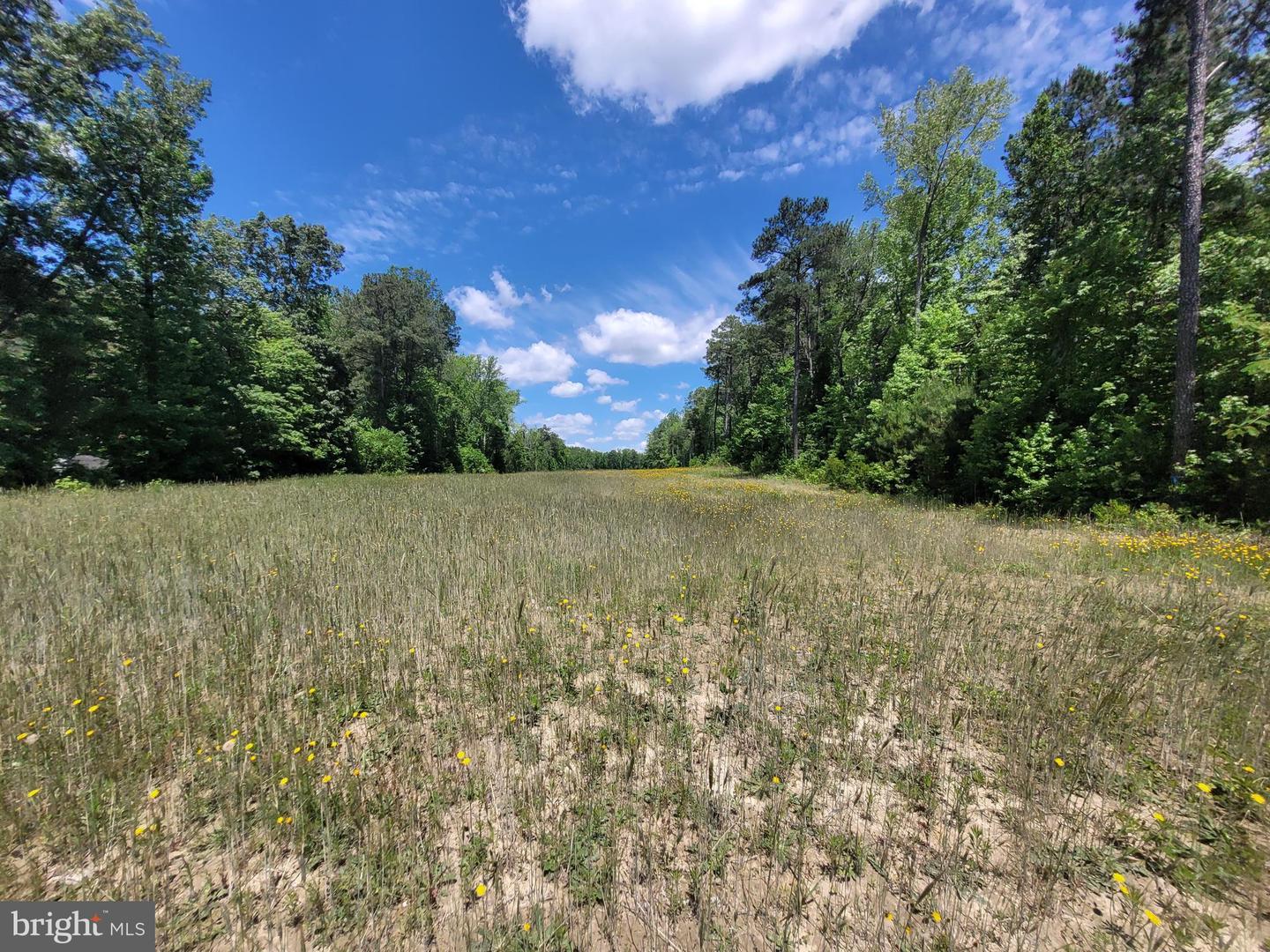 0 PINCKARDSVILLE RD, LANCASTER, Virginia 22503, ,Land,For sale,0 PINCKARDSVILLE RD,VALV2000822 MLS # VALV2000822