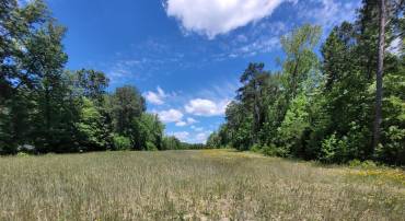 0 PINCKARDSVILLE RD, LANCASTER, Virginia 22503, ,Land,For sale,0 PINCKARDSVILLE RD,VALV2000822 MLS # VALV2000822