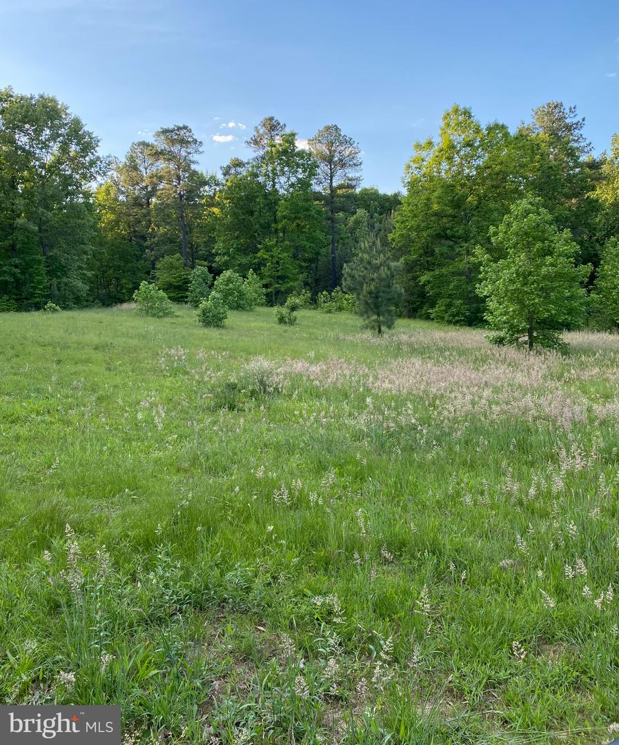 1301 (LOT H1) EASTHAM RD, BUMPASS, Virginia 23024, ,Land,For sale,1301 (LOT H1) EASTHAM RD,VALA2007932 MLS # VALA2007932