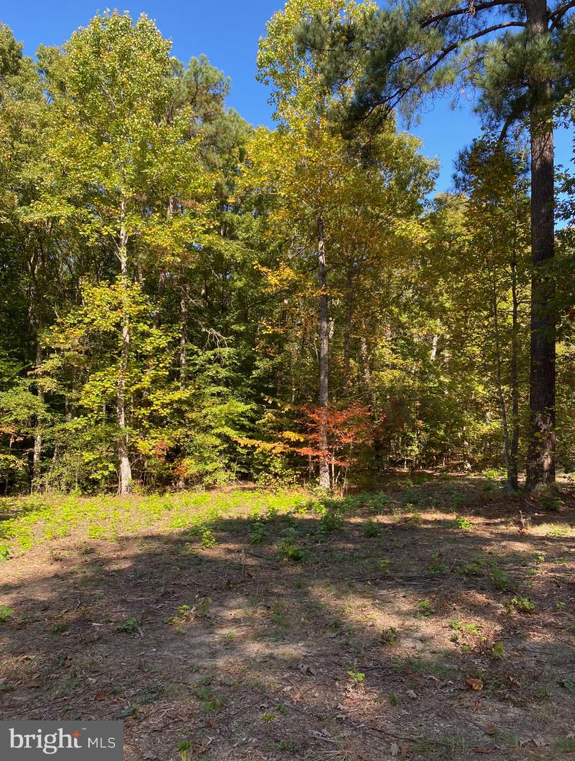 1301 (LOT H1) EASTHAM RD, BUMPASS, Virginia 23024, ,Land,For sale,1301 (LOT H1) EASTHAM RD,VALA2007932 MLS # VALA2007932