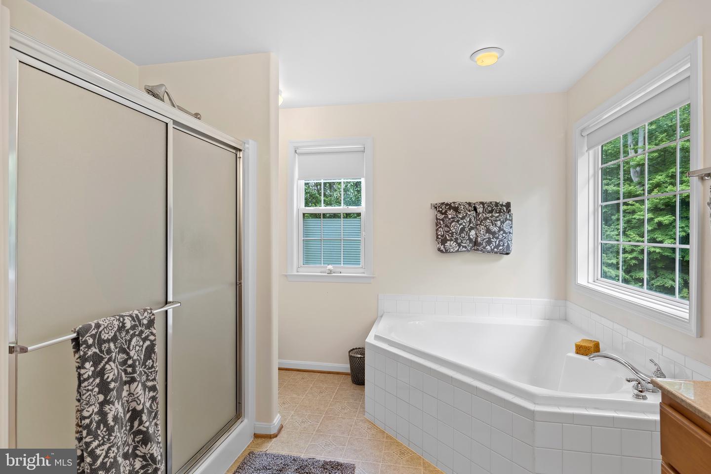 10 RIVER FARM, FREDERICKSBURG, Virginia 22405, 5 Bedrooms Bedrooms, ,2 BathroomsBathrooms,Residential,For sale,10 RIVER FARM,VAST2039048 MLS # VAST2039048