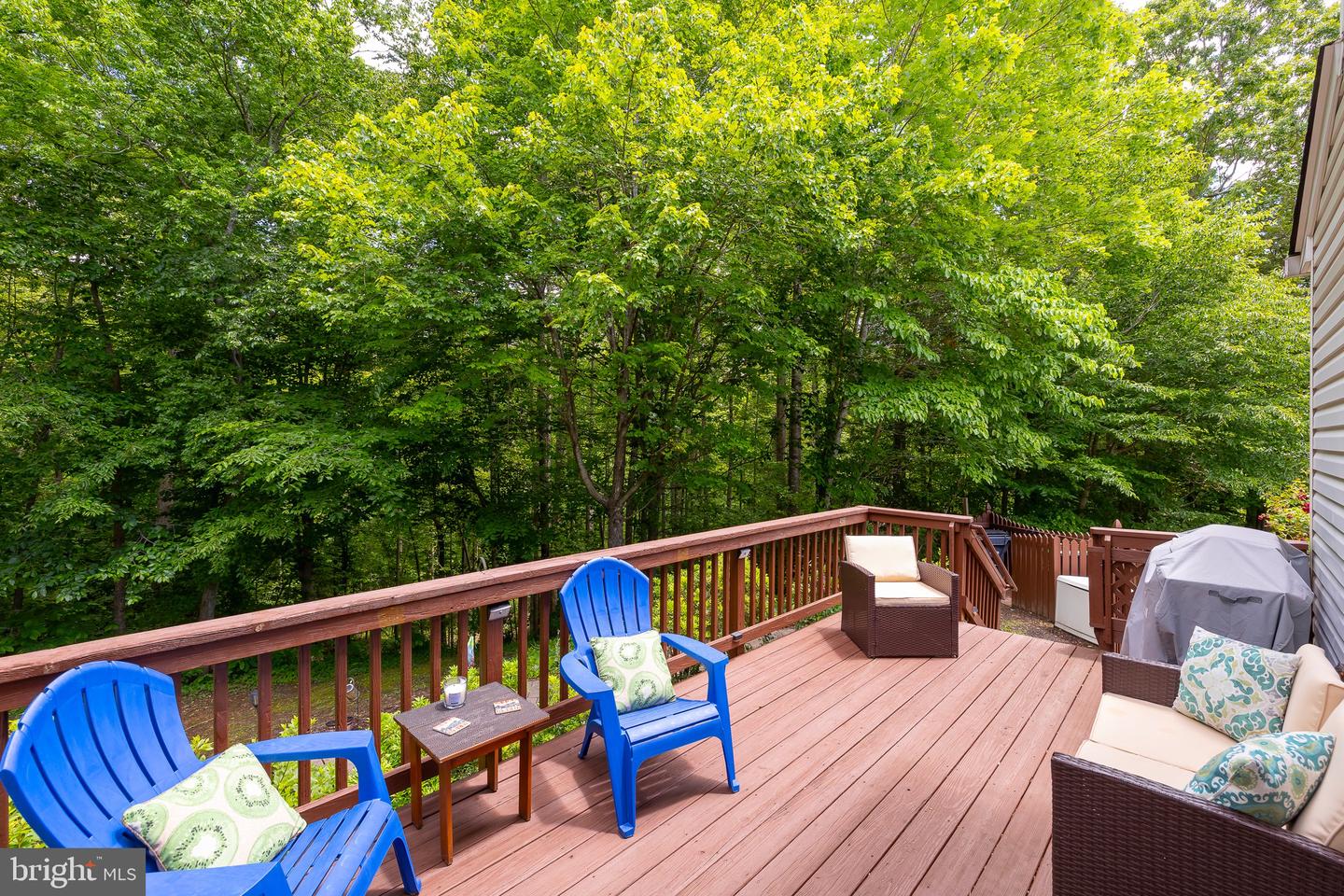 10 RIVER FARM, FREDERICKSBURG, Virginia 22405, 5 Bedrooms Bedrooms, ,2 BathroomsBathrooms,Residential,For sale,10 RIVER FARM,VAST2039048 MLS # VAST2039048