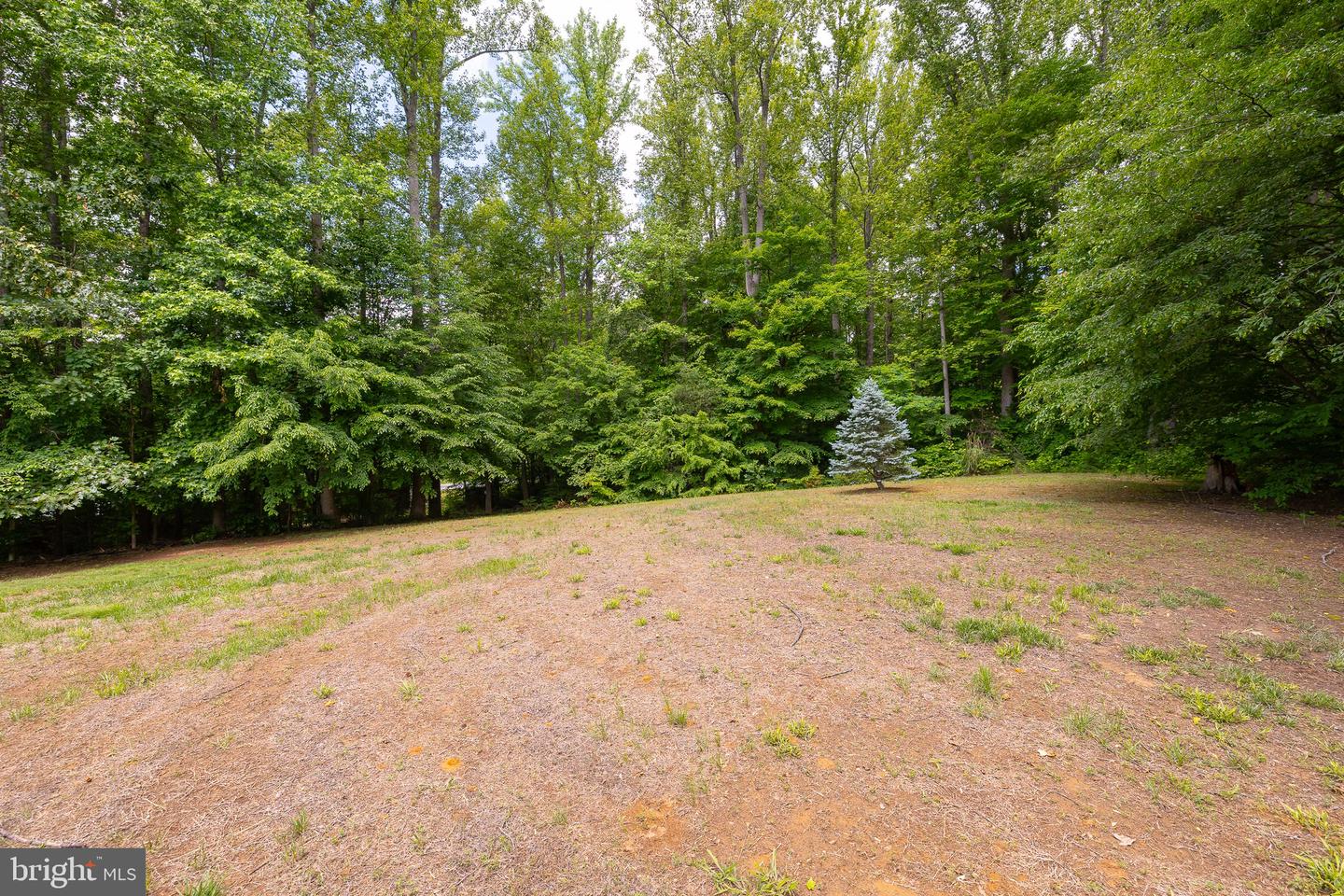 10 RIVER FARM, FREDERICKSBURG, Virginia 22405, 5 Bedrooms Bedrooms, ,2 BathroomsBathrooms,Residential,For sale,10 RIVER FARM,VAST2039048 MLS # VAST2039048