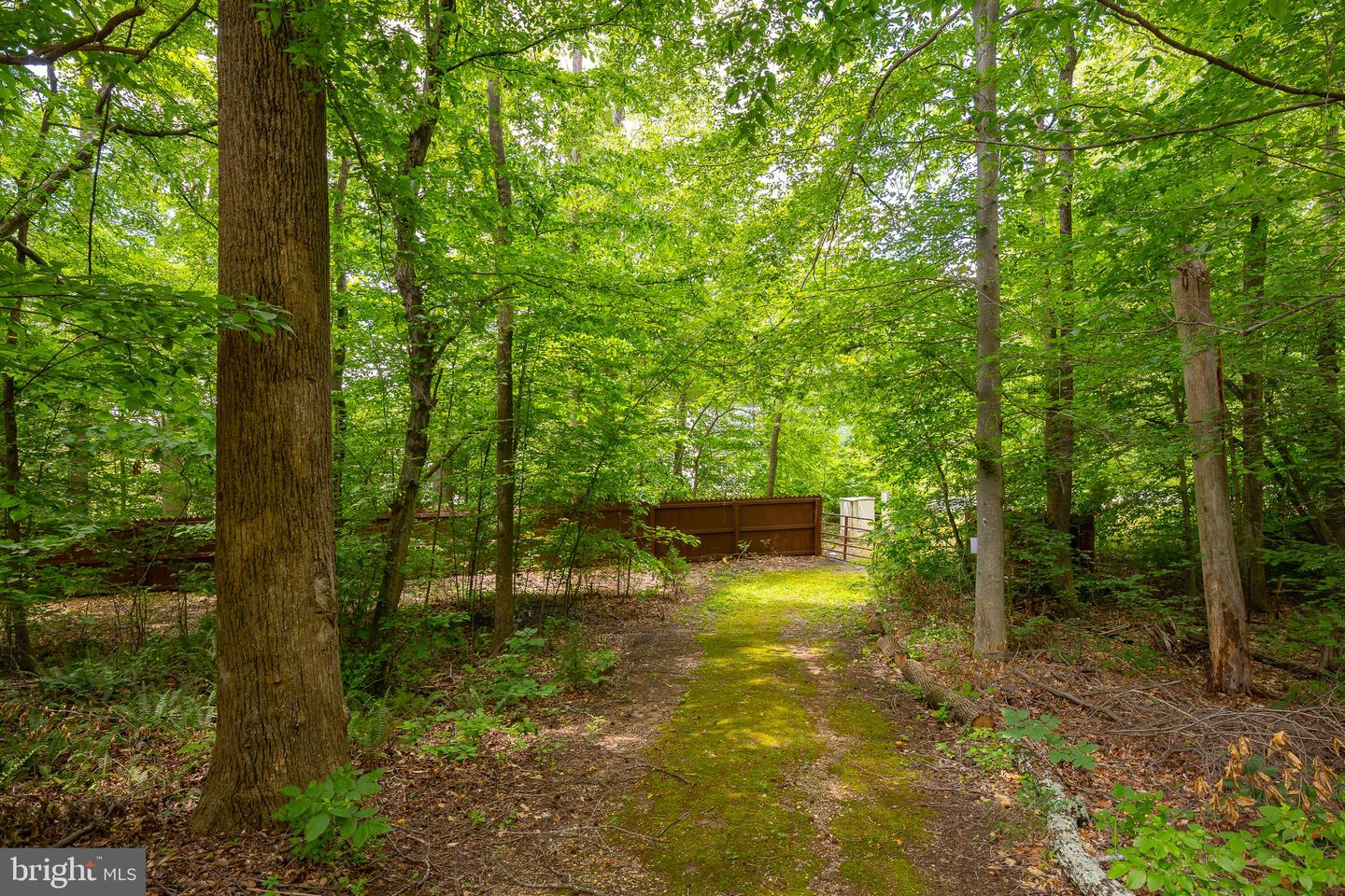 10 RIVER FARM, FREDERICKSBURG, Virginia 22405, 5 Bedrooms Bedrooms, ,2 BathroomsBathrooms,Residential,For sale,10 RIVER FARM,VAST2039048 MLS # VAST2039048