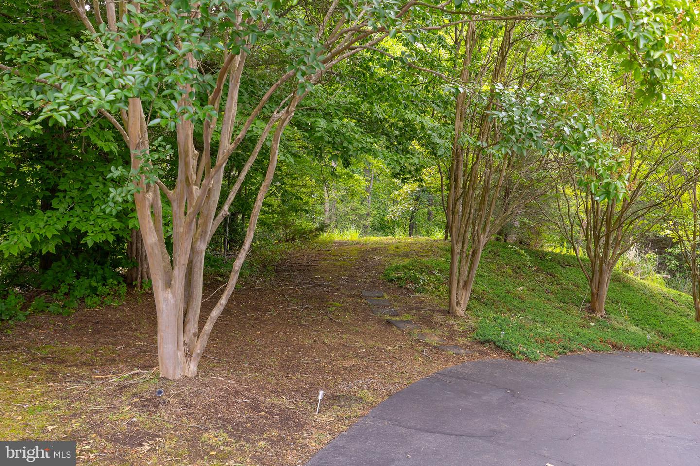 10 RIVER FARM, FREDERICKSBURG, Virginia 22405, 5 Bedrooms Bedrooms, ,2 BathroomsBathrooms,Residential,For sale,10 RIVER FARM,VAST2039048 MLS # VAST2039048