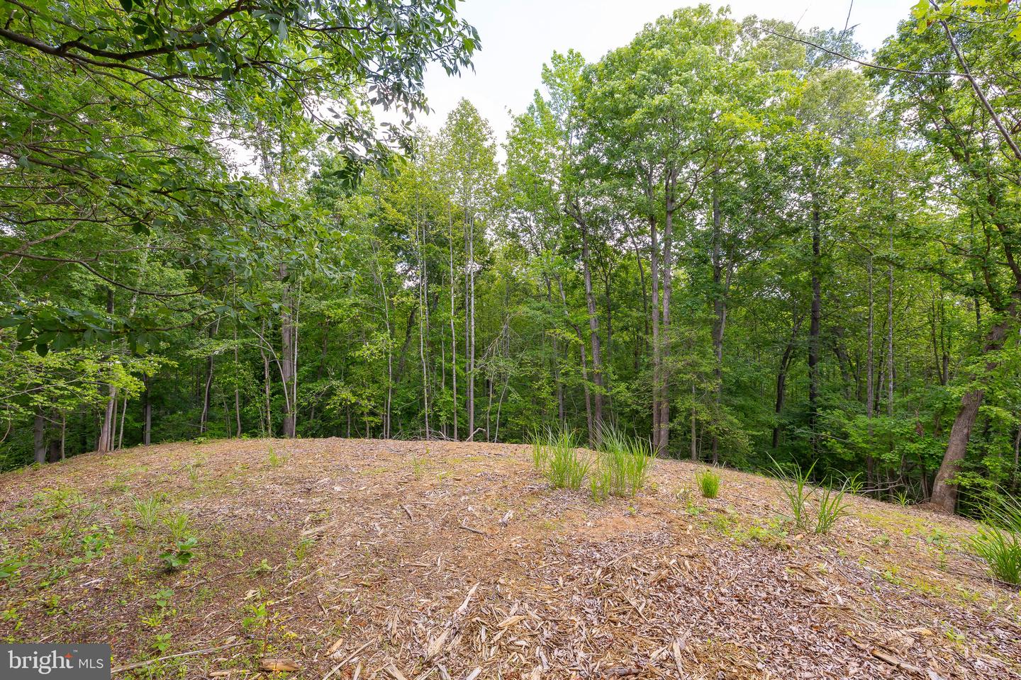 10 RIVER FARM, FREDERICKSBURG, Virginia 22405, 5 Bedrooms Bedrooms, ,2 BathroomsBathrooms,Residential,For sale,10 RIVER FARM,VAST2039048 MLS # VAST2039048