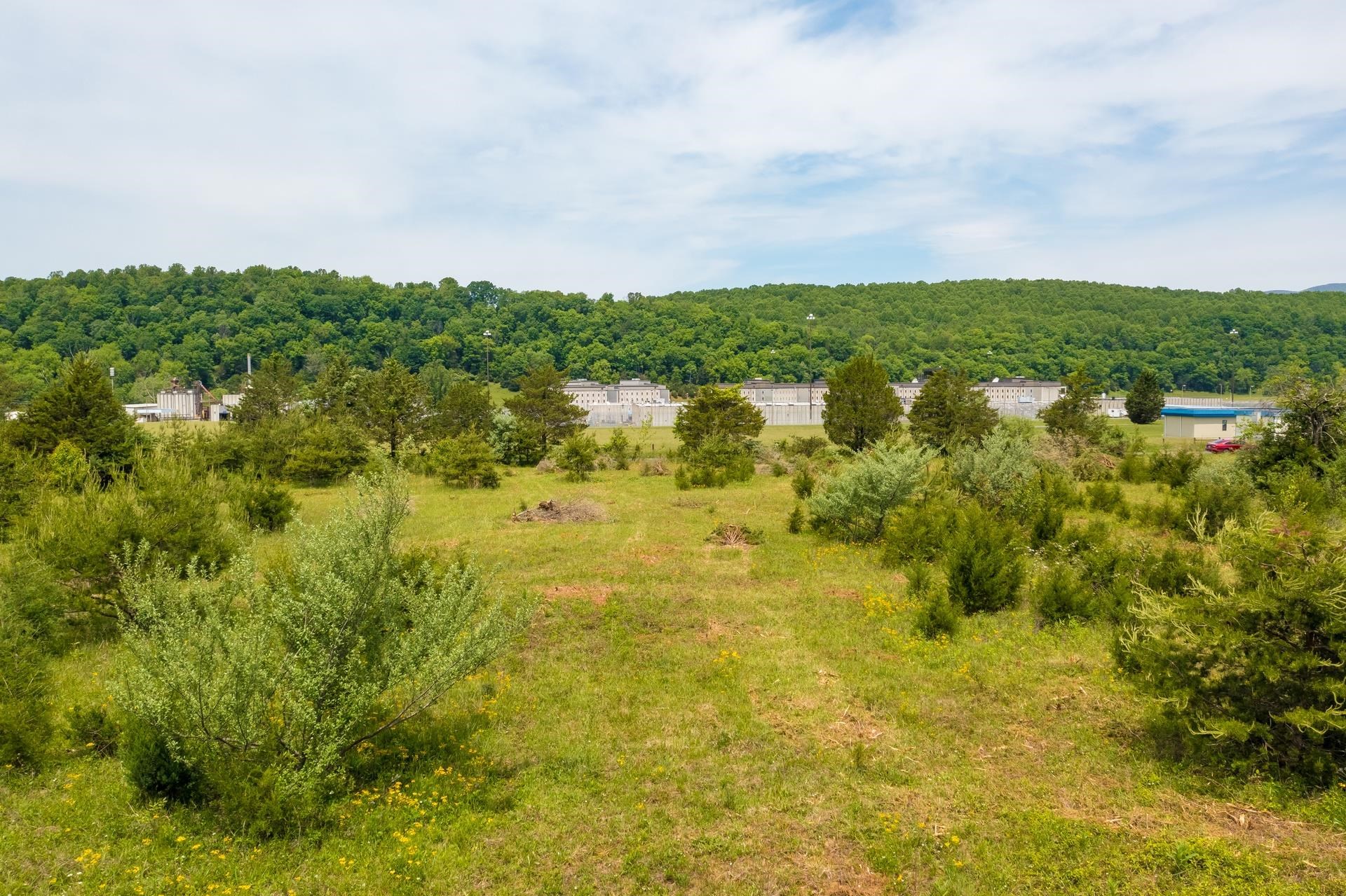 TBD ESTALINE VALLEY RD, CRAIGSVILLE, Virginia 24430, ,Land,TBD ESTALINE VALLEY RD,664989 MLS # 664989