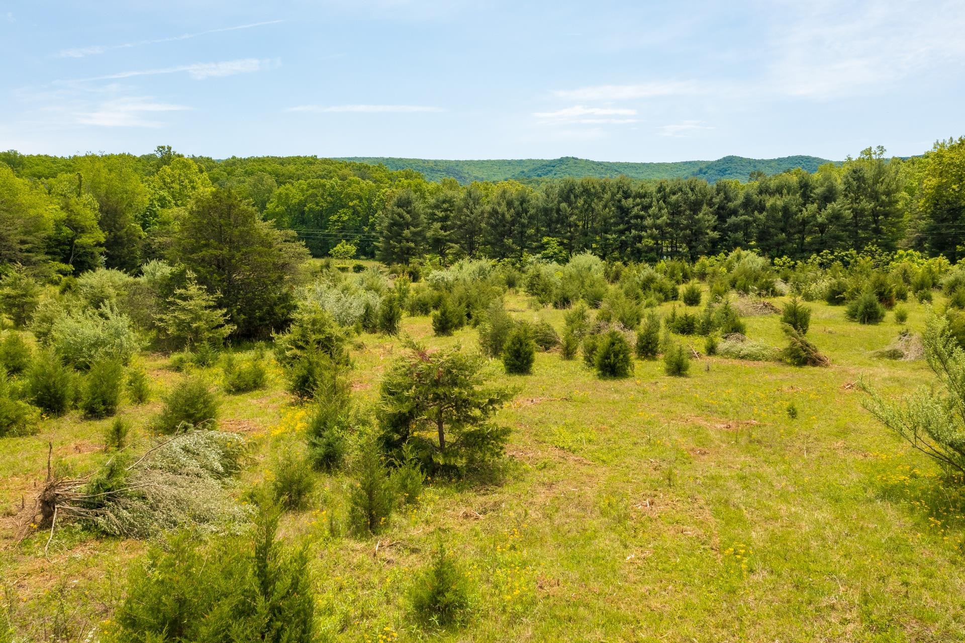 TBD ESTALINE VALLEY RD, CRAIGSVILLE, Virginia 24430, ,Land,TBD ESTALINE VALLEY RD,664989 MLS # 664989