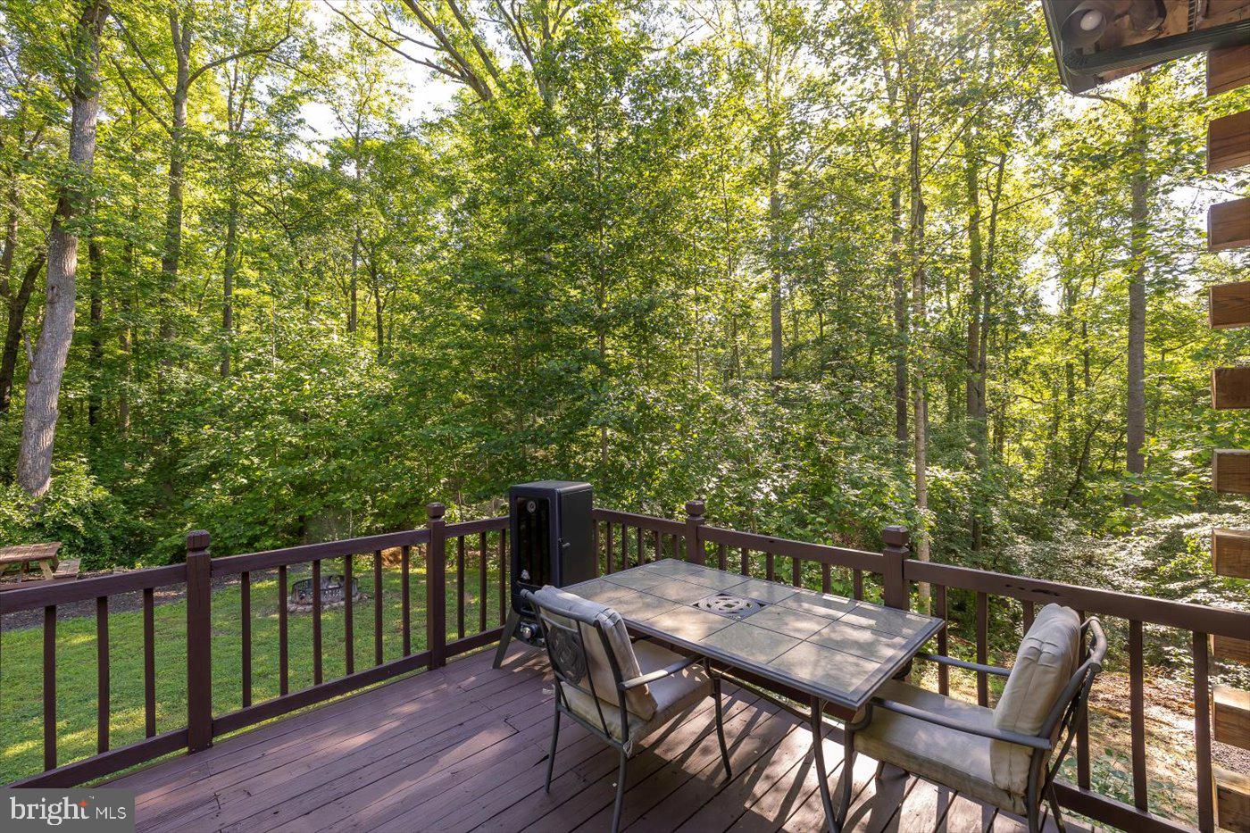 54 BLUEBIRD LN, STAFFORD, Virginia 22554, 3 Bedrooms Bedrooms, ,2 BathroomsBathrooms,Residential,For sale,54 BLUEBIRD LN,VAST2039168 MLS # VAST2039168