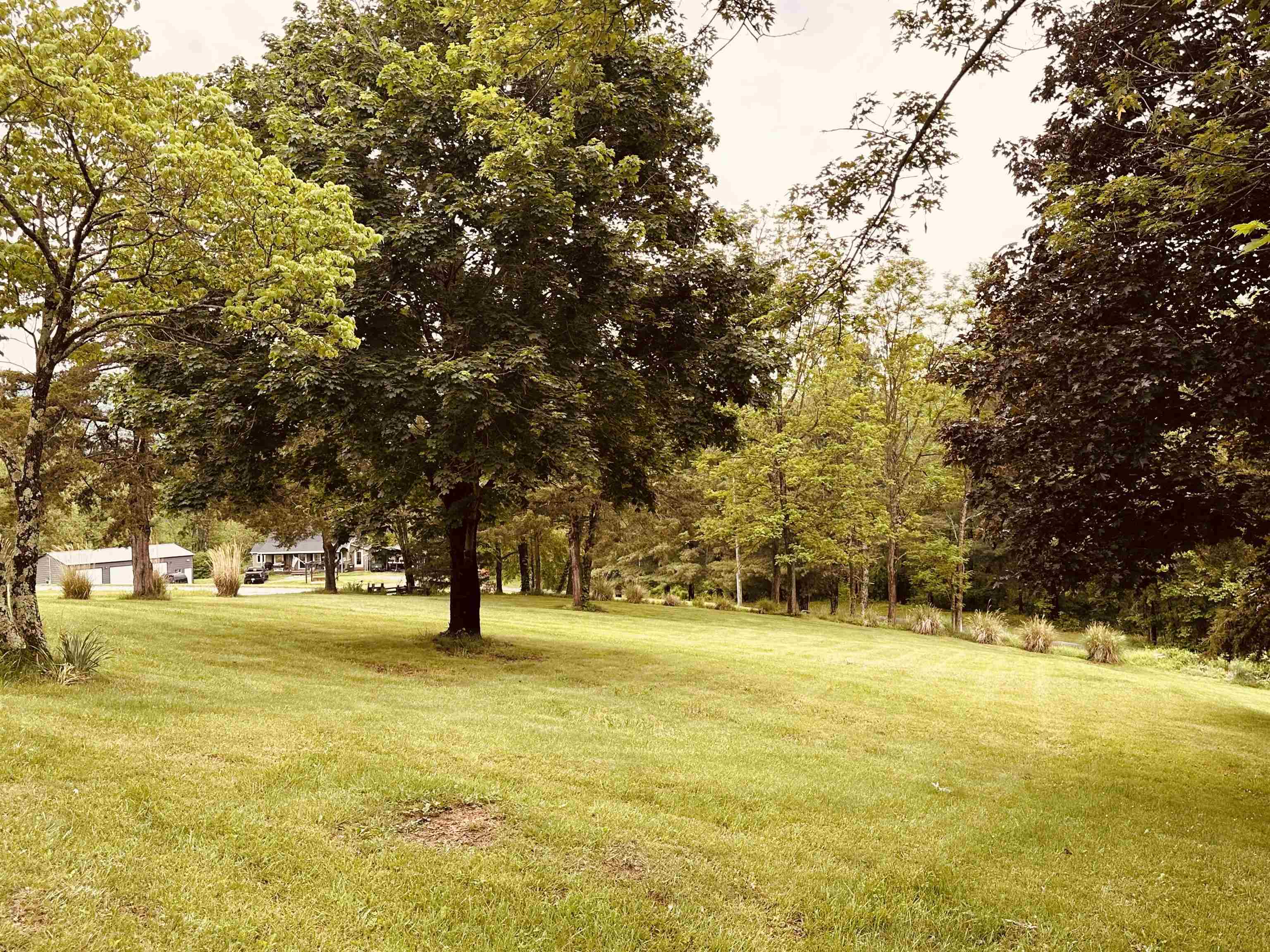 562 DABNEYS RD, RAPHINE, Virginia 24472, 3 Bedrooms Bedrooms, ,1 BathroomBathrooms,Residential,562 DABNEYS RD,664992 MLS # 664992