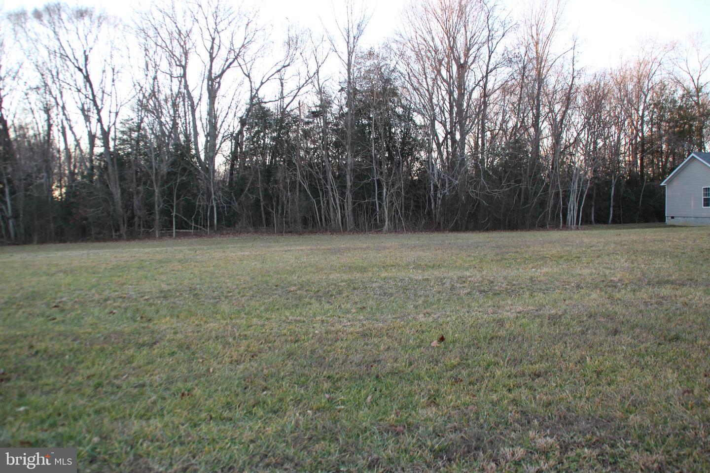 663 PROSPECT HILL RD, MONTROSS, Virginia 22520, ,Land,For sale,663 PROSPECT HILL RD,VAWE2008978 MLS # VAWE2008978
