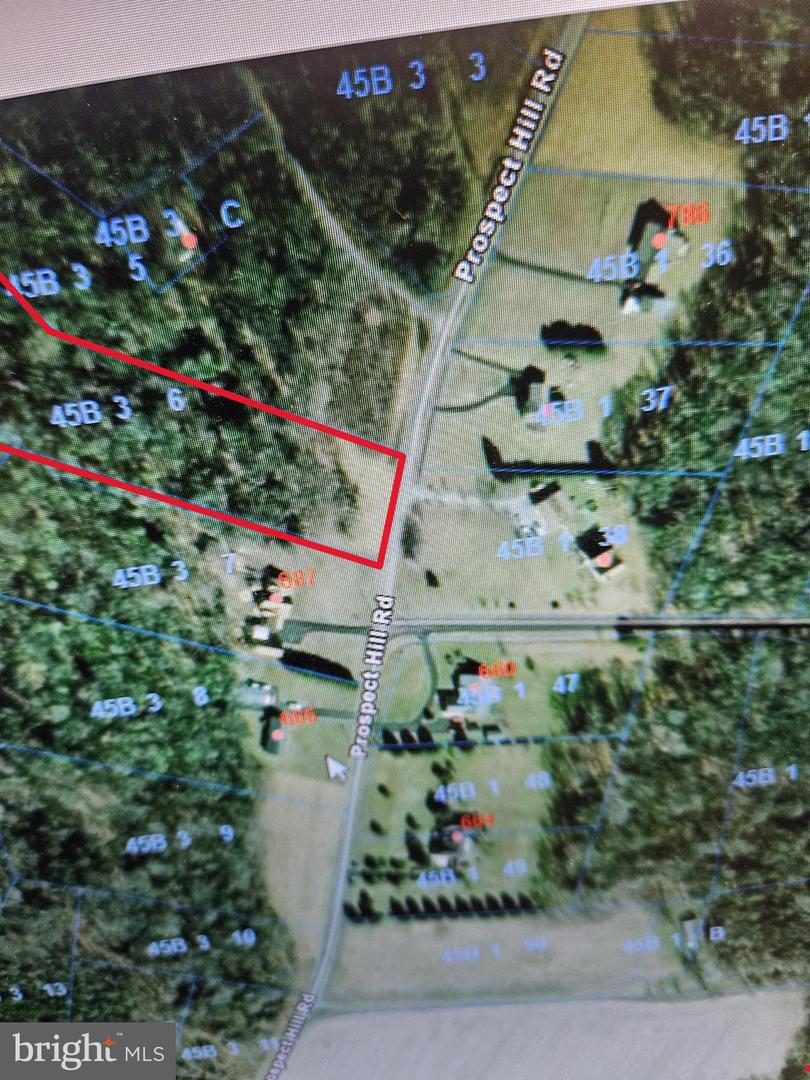 689 PROSPECT HILL RD, MONTROSS, Virginia 22520, ,Land,For sale,689 PROSPECT HILL RD,VAWE2008982 MLS # VAWE2008982