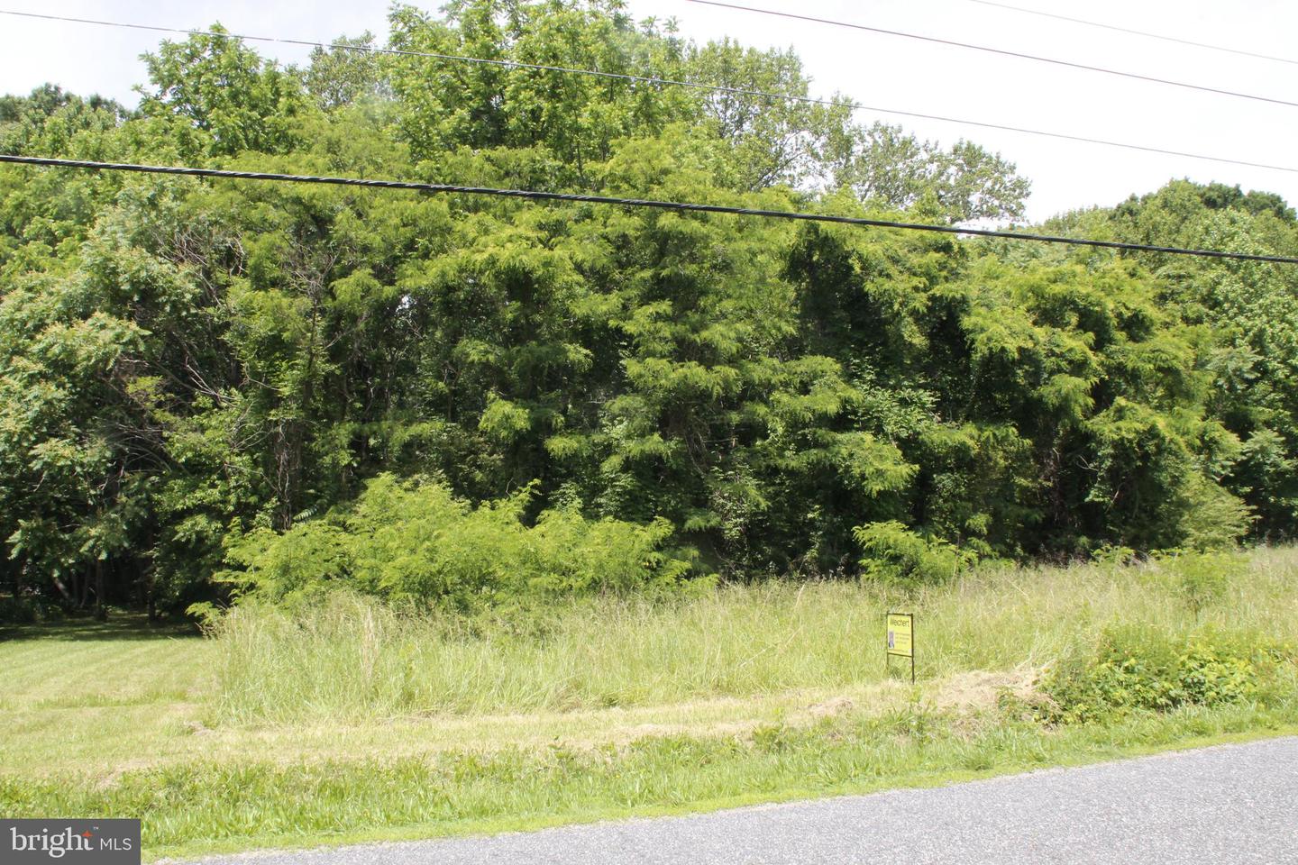 689 PROSPECT HILL RD, MONTROSS, Virginia 22520, ,Land,For sale,689 PROSPECT HILL RD,VAWE2008982 MLS # VAWE2008982