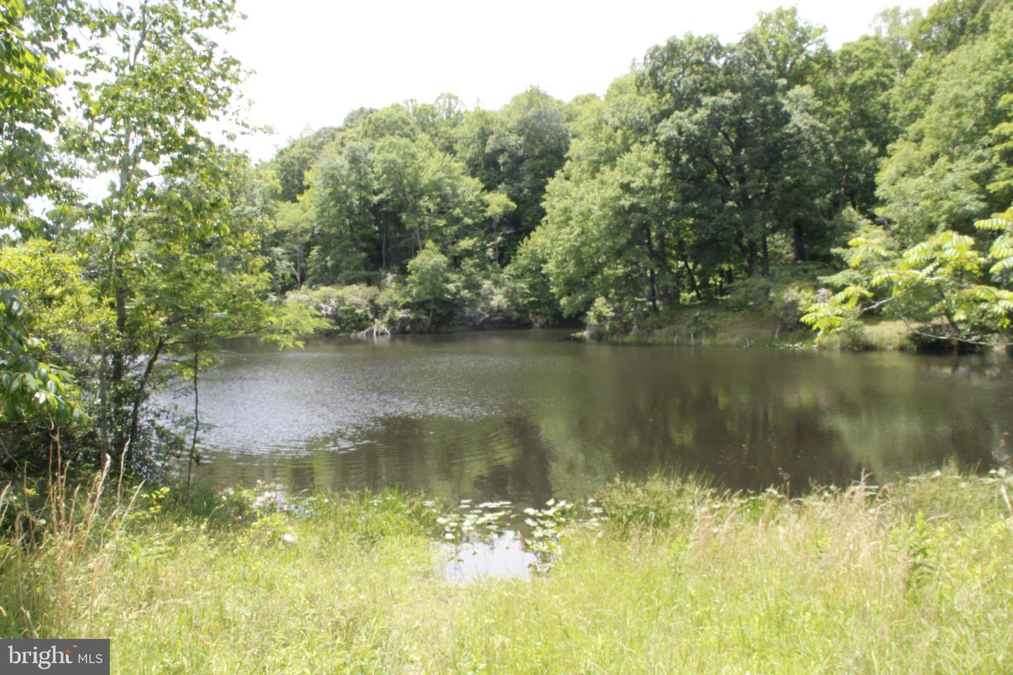 689 PROSPECT HILL RD, MONTROSS, Virginia 22520, ,Land,For sale,689 PROSPECT HILL RD,VAWE2008982 MLS # VAWE2008982