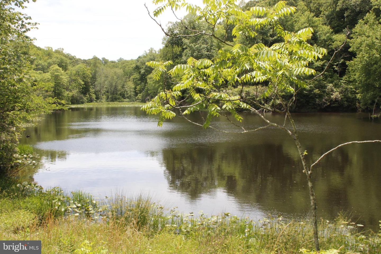 689 PROSPECT HILL RD, MONTROSS, Virginia 22520, ,Land,For sale,689 PROSPECT HILL RD,VAWE2008982 MLS # VAWE2008982
