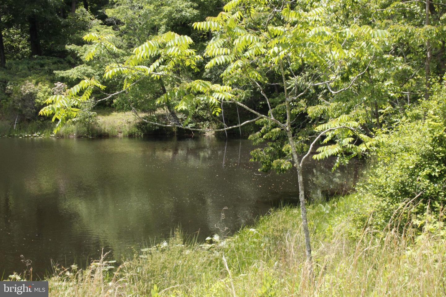 689 PROSPECT HILL RD, MONTROSS, Virginia 22520, ,Land,For sale,689 PROSPECT HILL RD,VAWE2008982 MLS # VAWE2008982