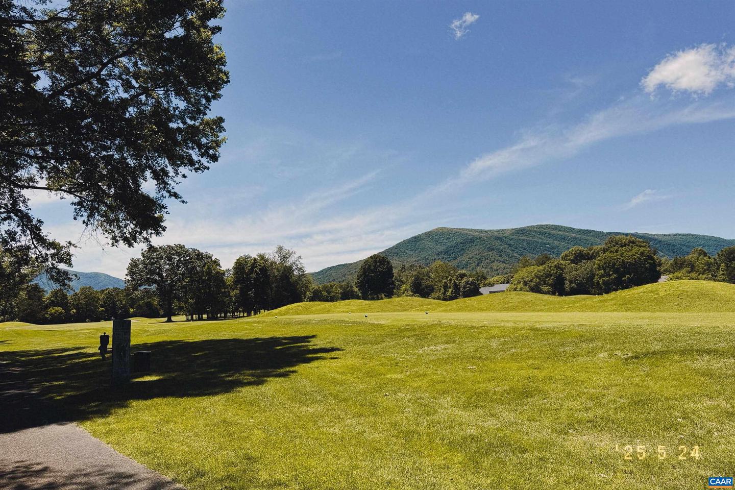 99 BLUE CHICKORY CT #B10, NELLYSFORD, Virginia 22958, ,Land,For sale,99 BLUE CHICKORY CT #B10,664998 MLS # 664998