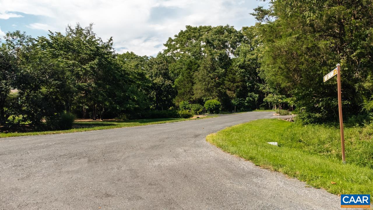 99 BLUE CHICKORY CT #B10, NELLYSFORD, Virginia 22958, ,Land,For sale,99 BLUE CHICKORY CT #B10,664998 MLS # 664998