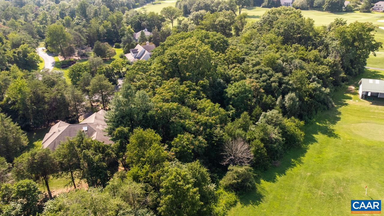 99 BLUE CHICKORY CT #B10, NELLYSFORD, Virginia 22958, ,Land,For sale,99 BLUE CHICKORY CT #B10,664998 MLS # 664998