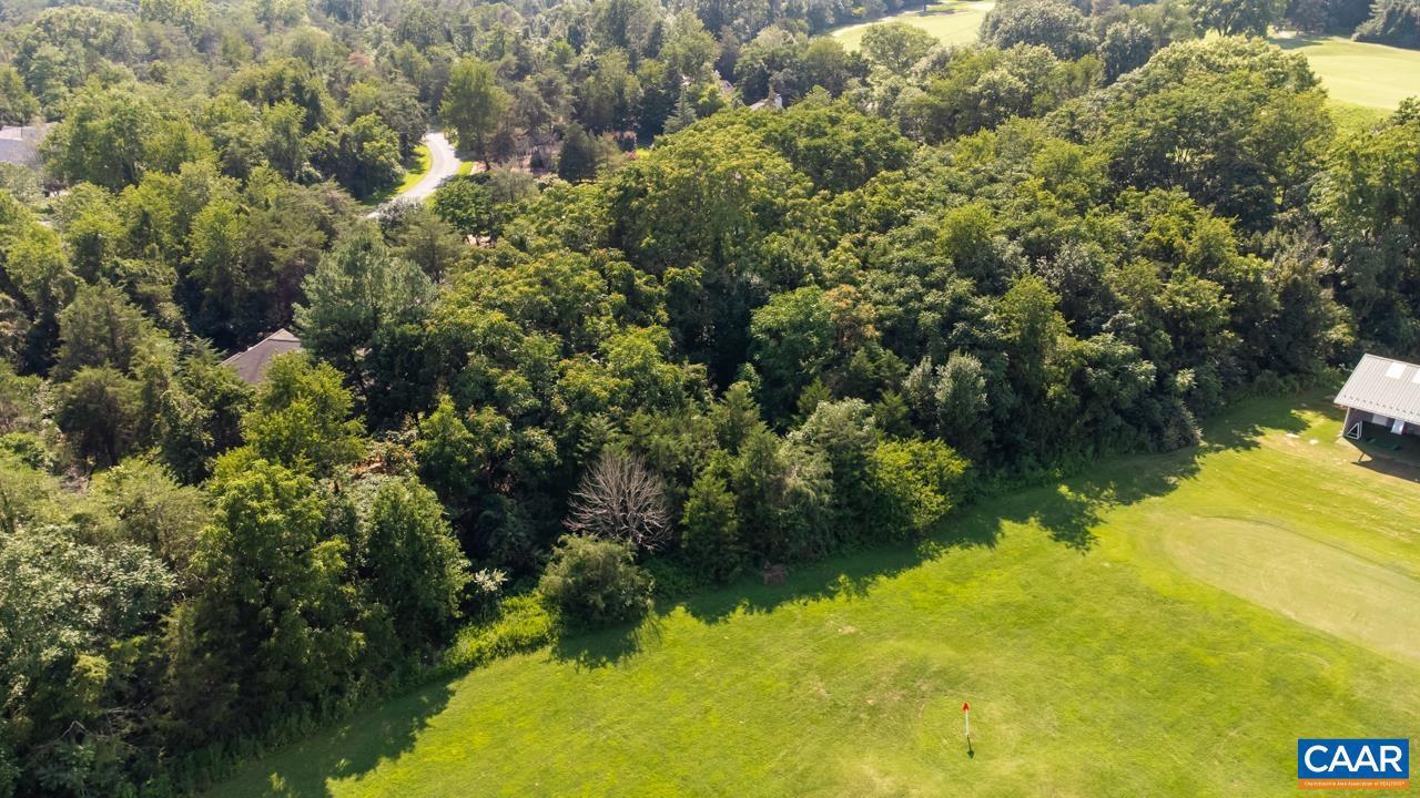 99 BLUE CHICKORY CT #B10, NELLYSFORD, Virginia 22958, ,Land,For sale,99 BLUE CHICKORY CT #B10,664998 MLS # 664998