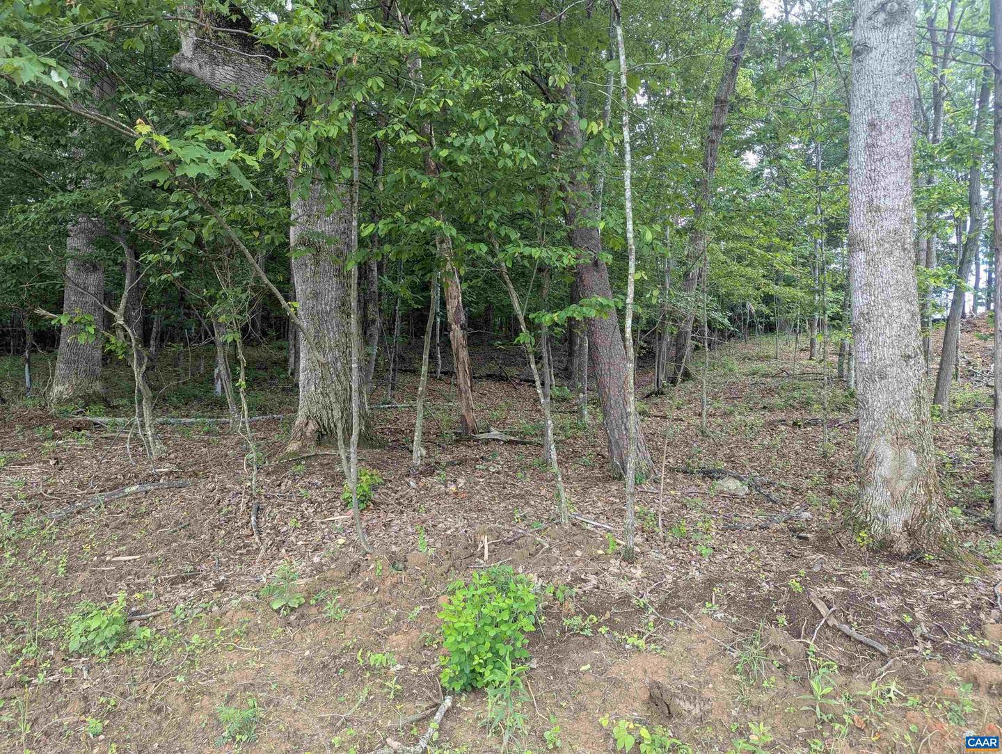 22 HORIZON DR, RUCKERSVILLE, Virginia 22968, 3 Bedrooms Bedrooms, ,2 BathroomsBathrooms,Residential,For sale,22 HORIZON DR,663562 MLS # 663562