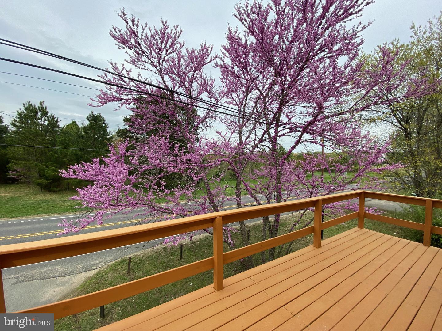1006 WHITE OAK RD, FREDERICKSBURG, Virginia 22405, 3 Bedrooms Bedrooms, ,2 BathroomsBathrooms,Residential,For sale,1006 WHITE OAK RD,VAST2038490 MLS # VAST2038490