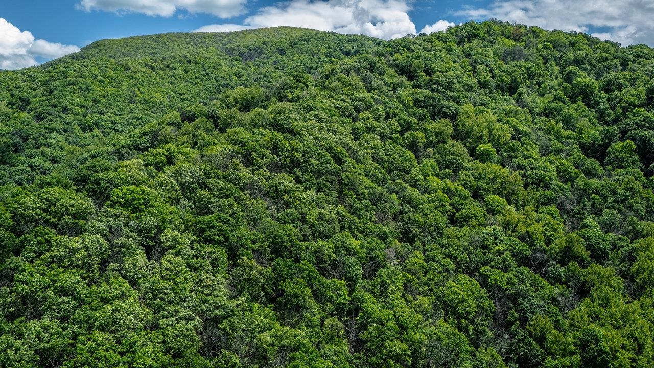 0 HELMS RD, STANLEY, Virginia 22851, ,Land,0 HELMS RD,665000 MLS # 665000