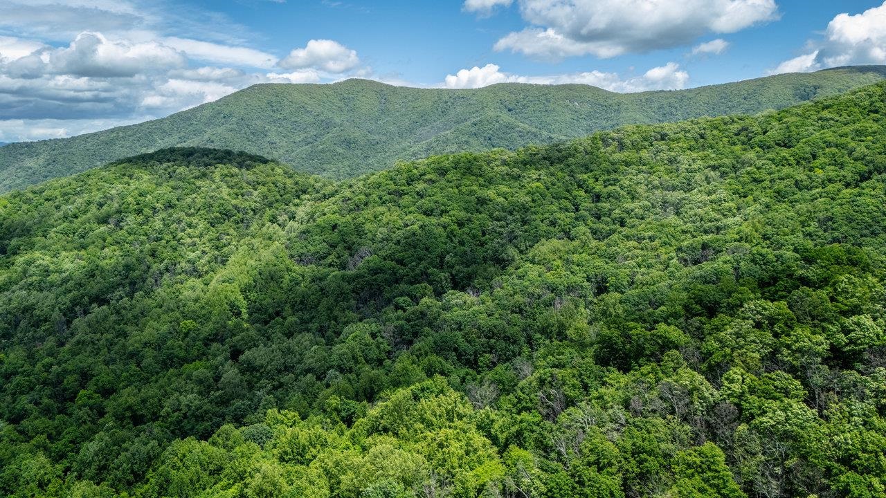 0 HELMS RD, STANLEY, Virginia 22851, ,Land,0 HELMS RD,665000 MLS # 665000