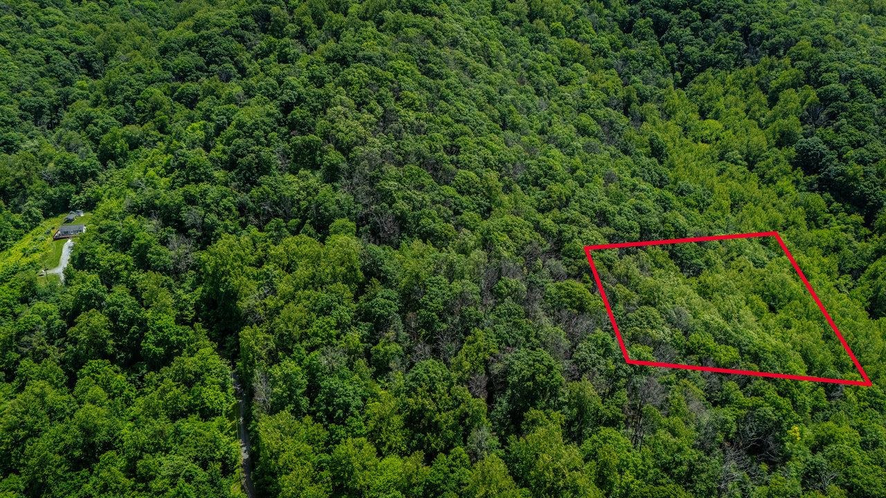 0 HELMS RD, STANLEY, Virginia 22851, ,Land,0 HELMS RD,665000 MLS # 665000