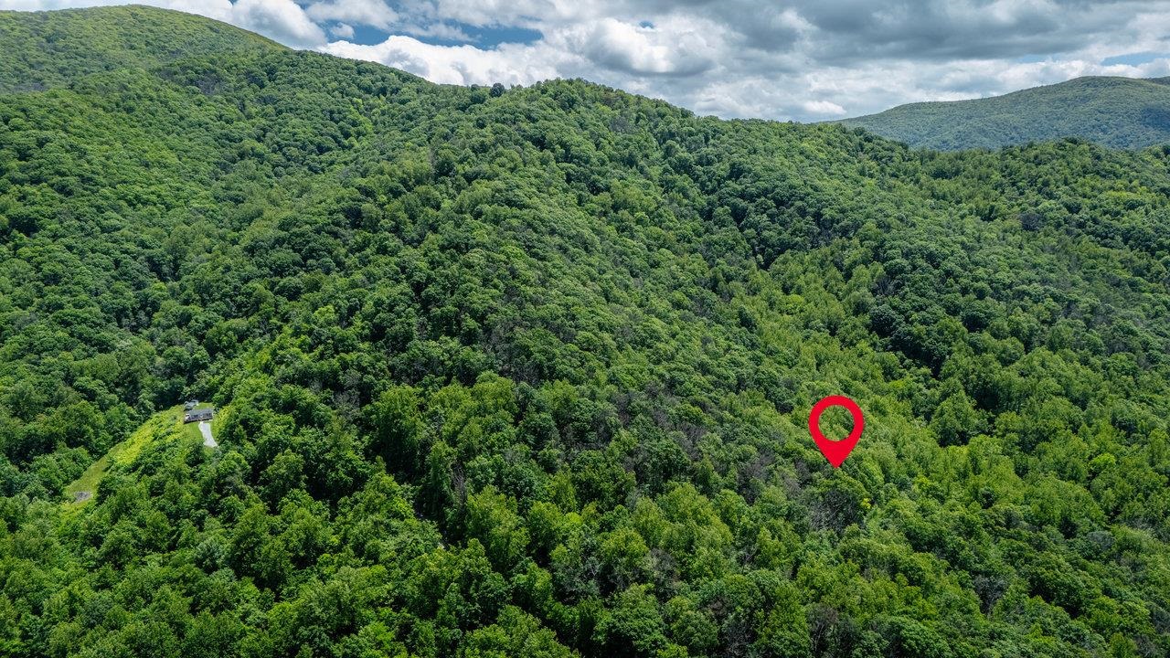 0 HELMS RD, STANLEY, Virginia 22851, ,Land,0 HELMS RD,665000 MLS # 665000