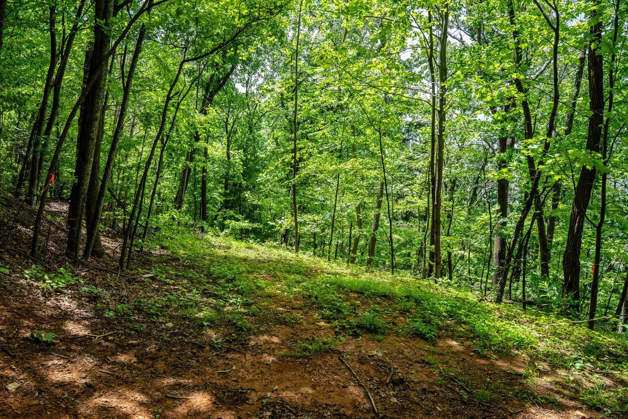 0 HELMS RD, STANLEY, Virginia 22851, ,Land,0 HELMS RD,665000 MLS # 665000