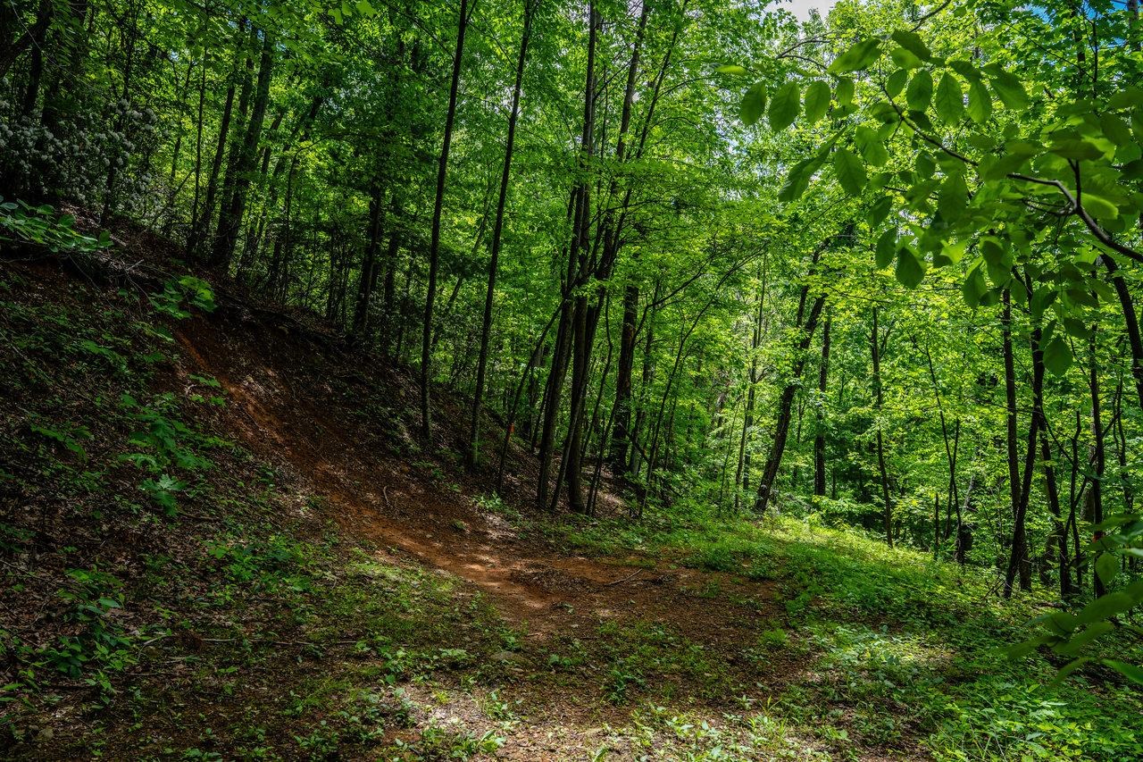 0 HELMS RD, STANLEY, Virginia 22851, ,Land,0 HELMS RD,665000 MLS # 665000