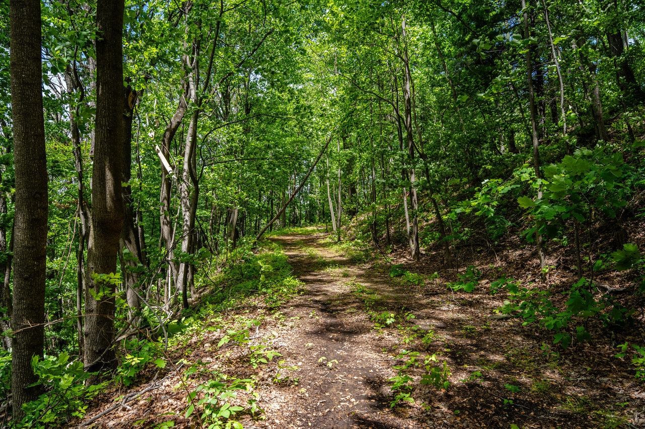 0 HELMS RD, STANLEY, Virginia 22851, ,Land,0 HELMS RD,665000 MLS # 665000