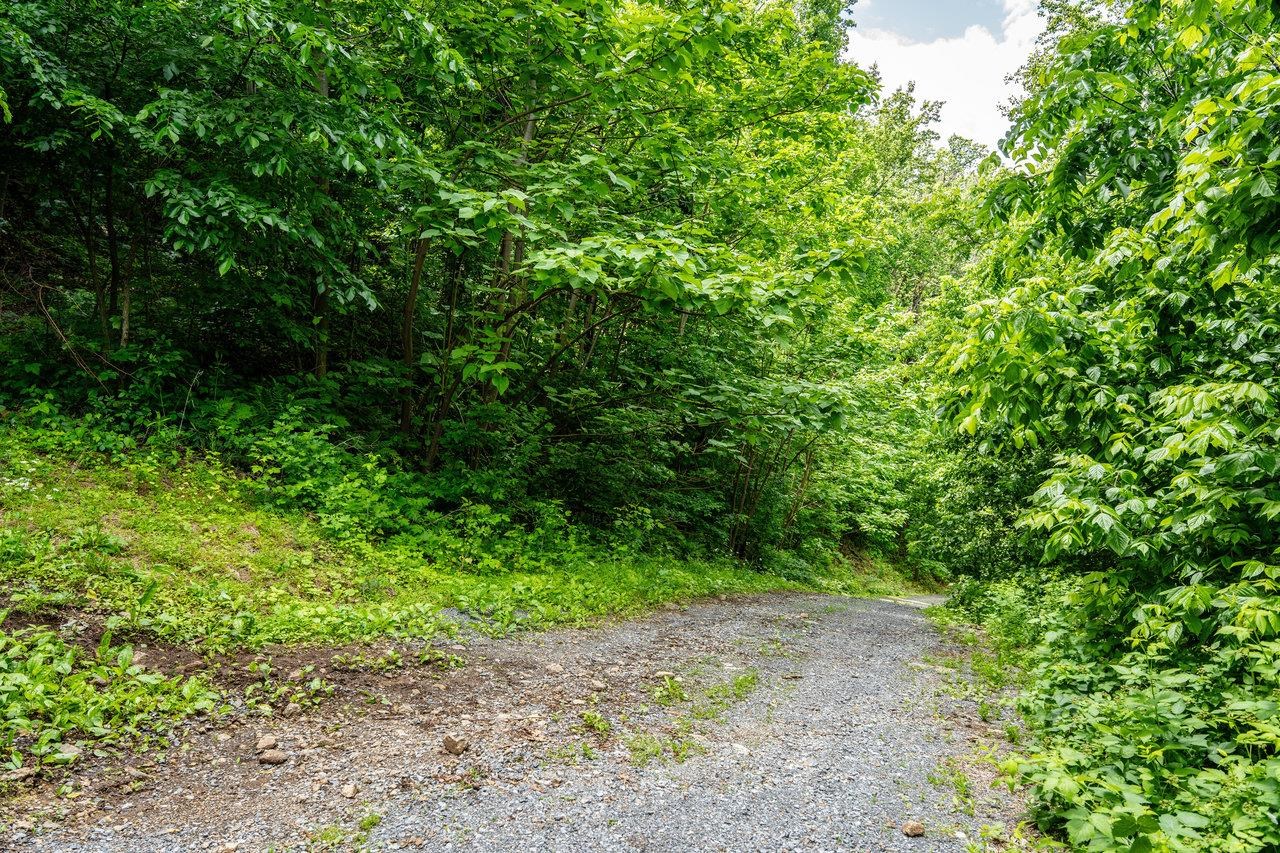 0 HELMS RD, STANLEY, Virginia 22851, ,Land,0 HELMS RD,665000 MLS # 665000