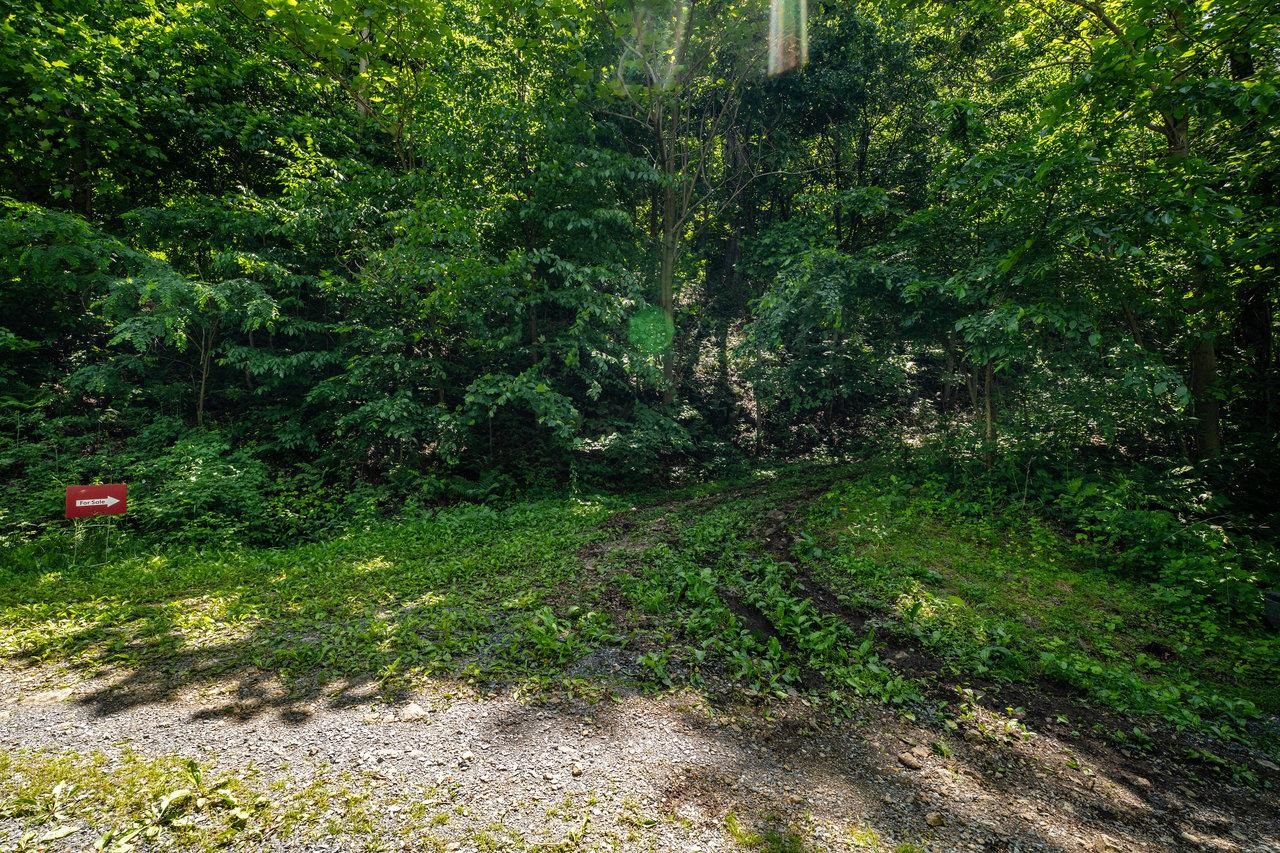 0 HELMS RD, STANLEY, Virginia 22851, ,Land,0 HELMS RD,665000 MLS # 665000