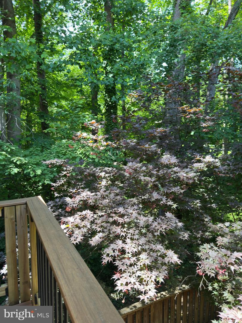 11152 FOREST EDGE DR, RESTON, Virginia 20190, 3 Bedrooms Bedrooms, ,2 BathroomsBathrooms,Residential,For sale,11152 FOREST EDGE DR,VAFX2215544 MLS # VAFX2215544