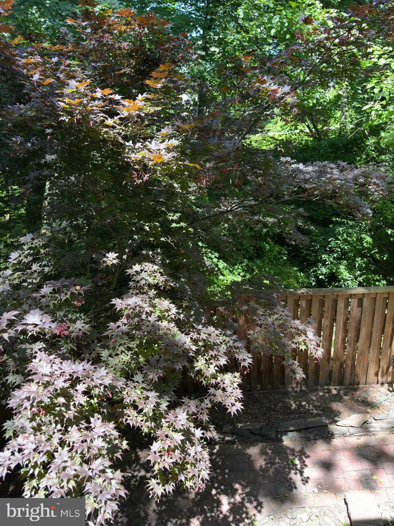11152 FOREST EDGE DR, RESTON, Virginia 20190, 3 Bedrooms Bedrooms, ,2 BathroomsBathrooms,Residential,For sale,11152 FOREST EDGE DR,VAFX2215544 MLS # VAFX2215544