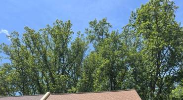 11152 FOREST EDGE DR, RESTON, Virginia 20190, 3 Bedrooms Bedrooms, ,2 BathroomsBathrooms,Residential,For sale,11152 FOREST EDGE DR,VAFX2215544 MLS # VAFX2215544