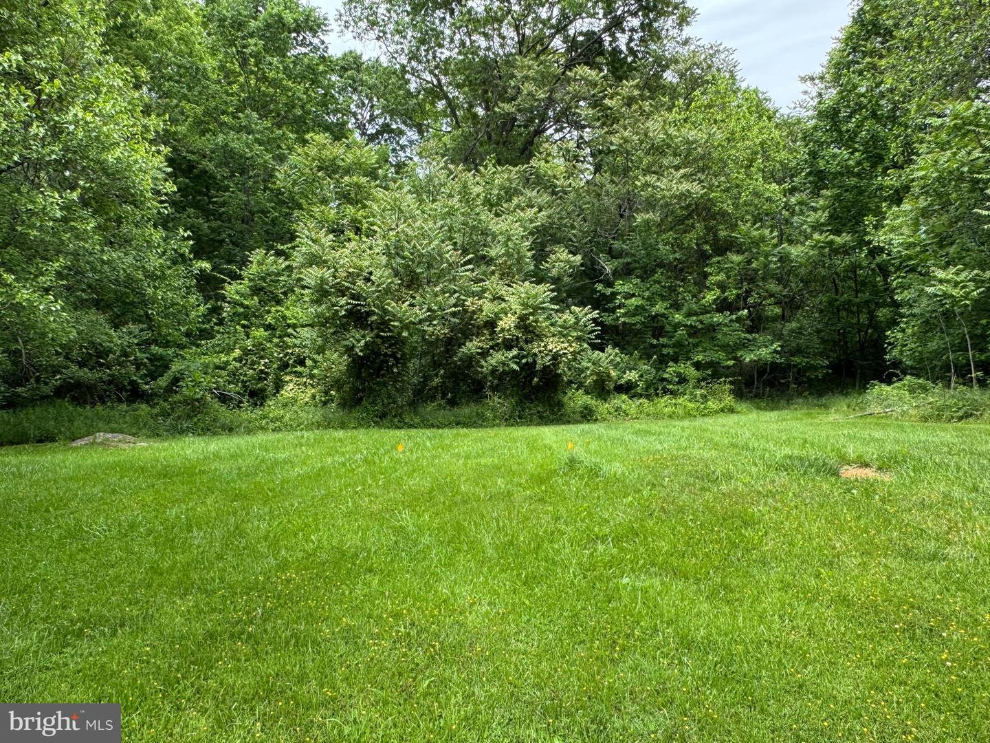 386 ROUND HILL ROAD, WINCHESTER, Virginia 22602, 6 Bedrooms Bedrooms, ,3 BathroomsBathrooms,Residential,For sale,386 ROUND HILL ROAD,VAFV2034404 MLS # VAFV2034404
