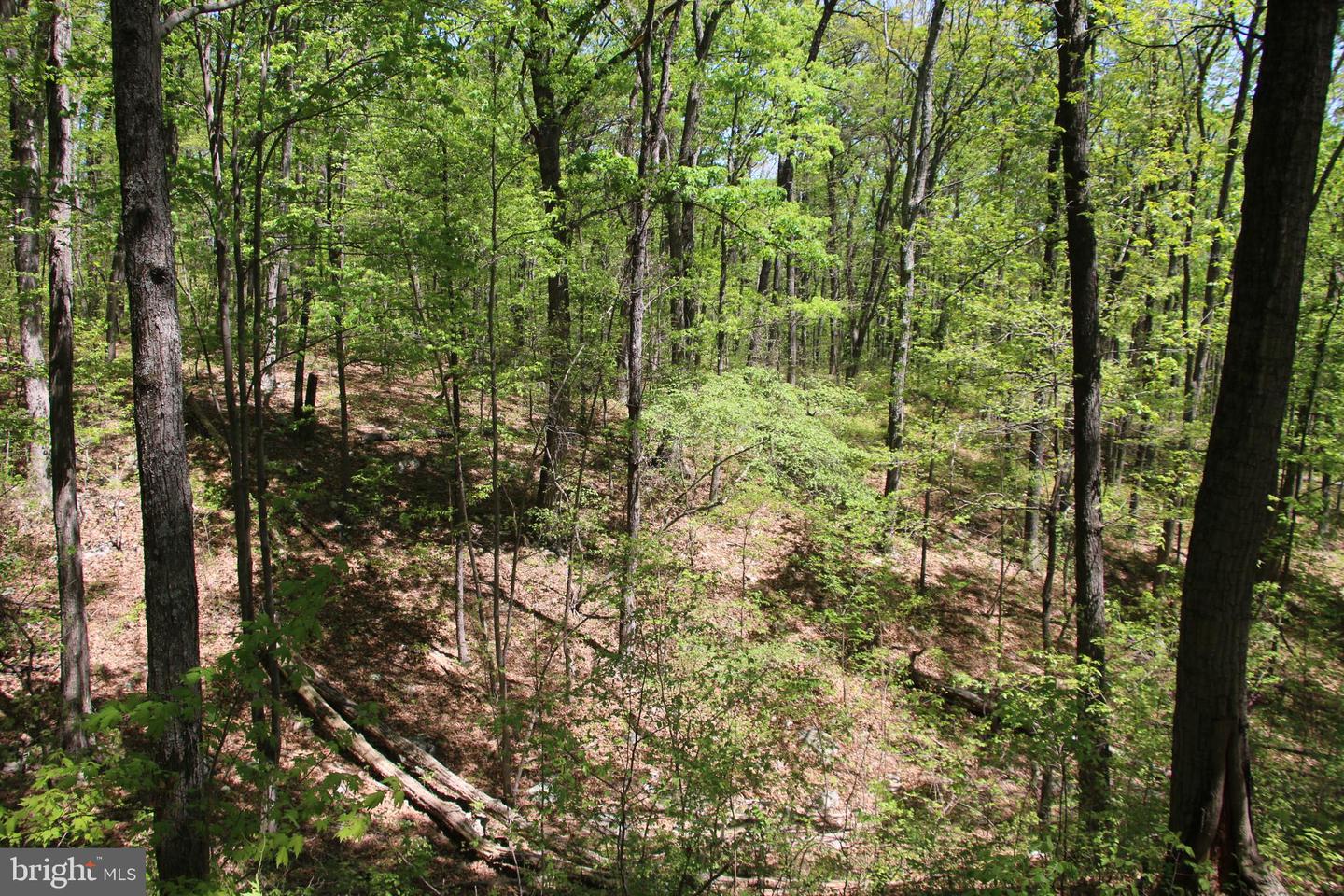 N EGYPT BEND RD, LURAY, Virginia 22835, ,Land,For sale,N EGYPT BEND RD,VAPA2004810 MLS # VAPA2004810